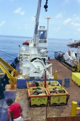 4-Plex with artefacts safely recovered from 405m deep. © Odyssey Marine Exploration