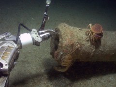 ATL-12-ROV-S-16159 copy 2