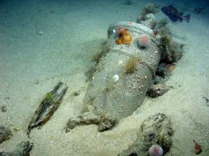 ROV(120120208085534)ATL-12-ROV-S-00511 copy 3